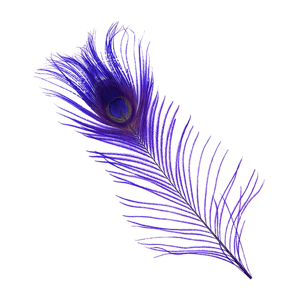 Peacock Tail Eyes Bleached and Dyed - 8-15” - 100 pc - Regal