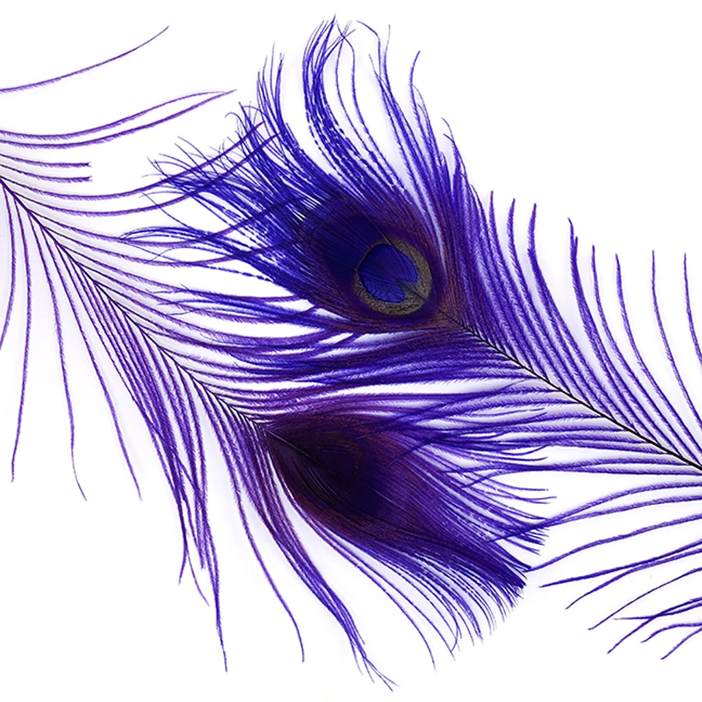 Peacock Tail Eyes Bleached and Dyed - 8-15” - 100 pc - Regal
