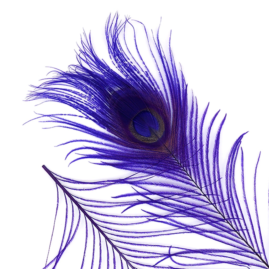 Peacock Tail Eyes Bleached and Dyed - 8-15” - 100 pc - Regal