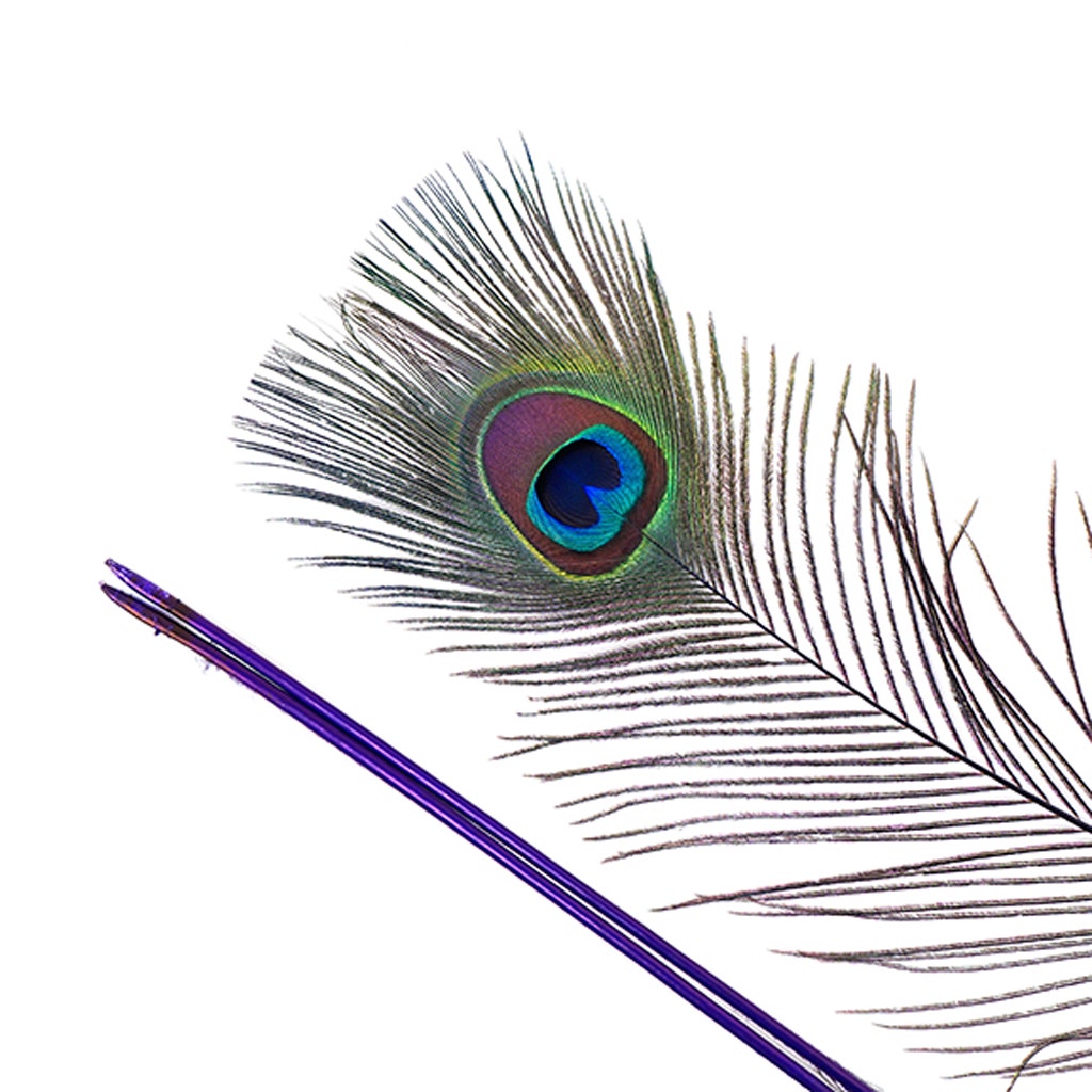 Peacock Tail Eyes Stem Dyed - 25-40 Inch - 100 PCS - Regal
