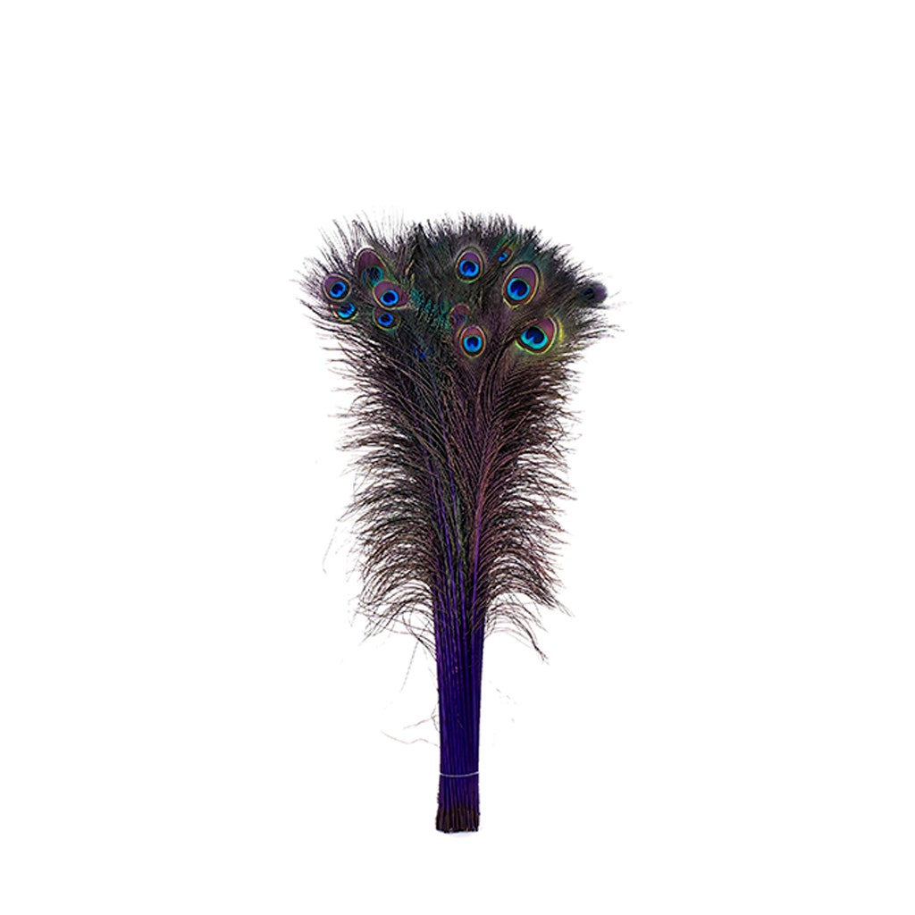 Peacock Tail Eyes Stem Dyed - 25-40 Inch - 100 PCS - Regal