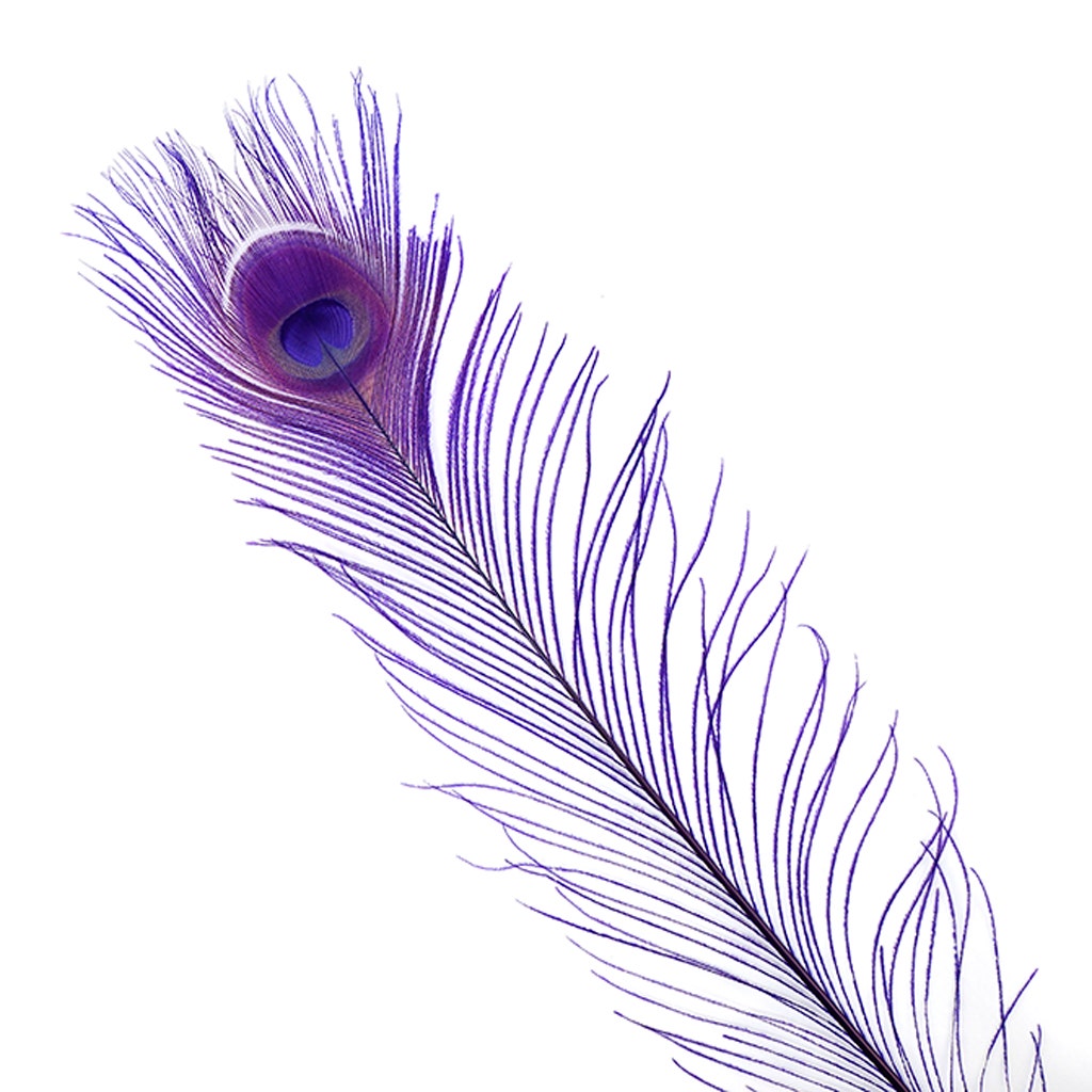 Peacock Tail Eyes Bleached Dyed - Regal
