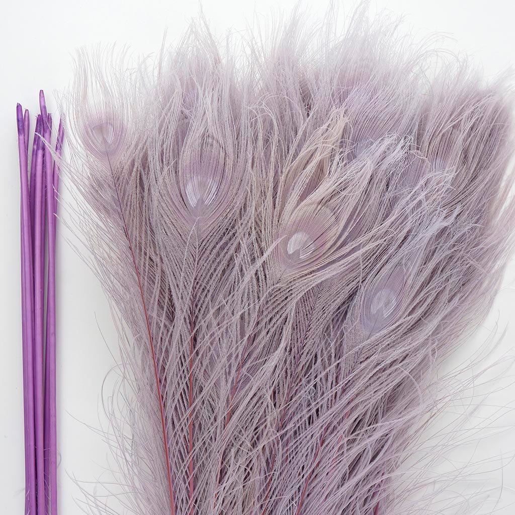 Peacock Tail Eyes Bleached Dyed - Orchid