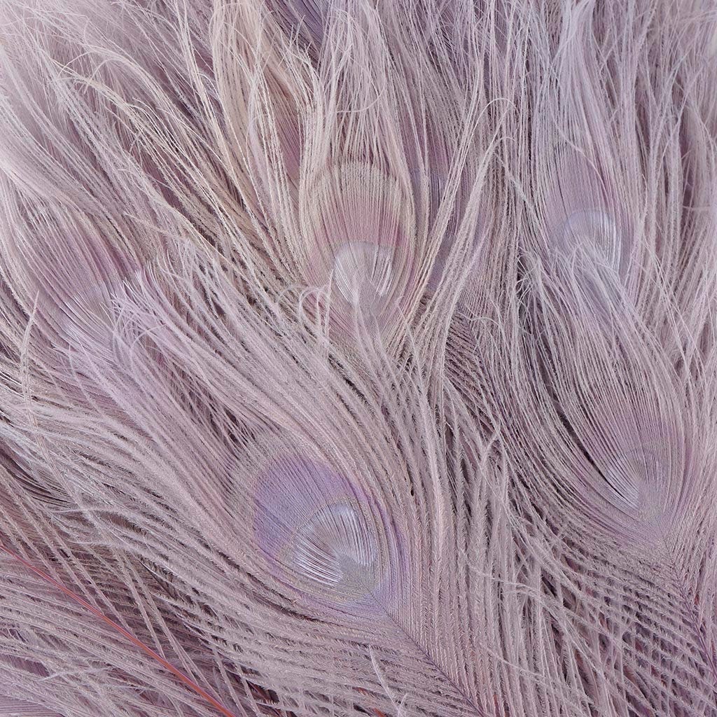 Peacock Tail Eyes Bleached Dyed - Orchid