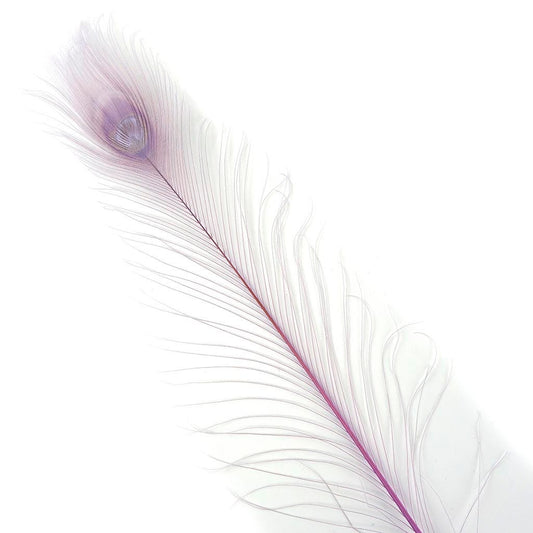 Peacock Tail Eyes Bleached Dyed - Orchid