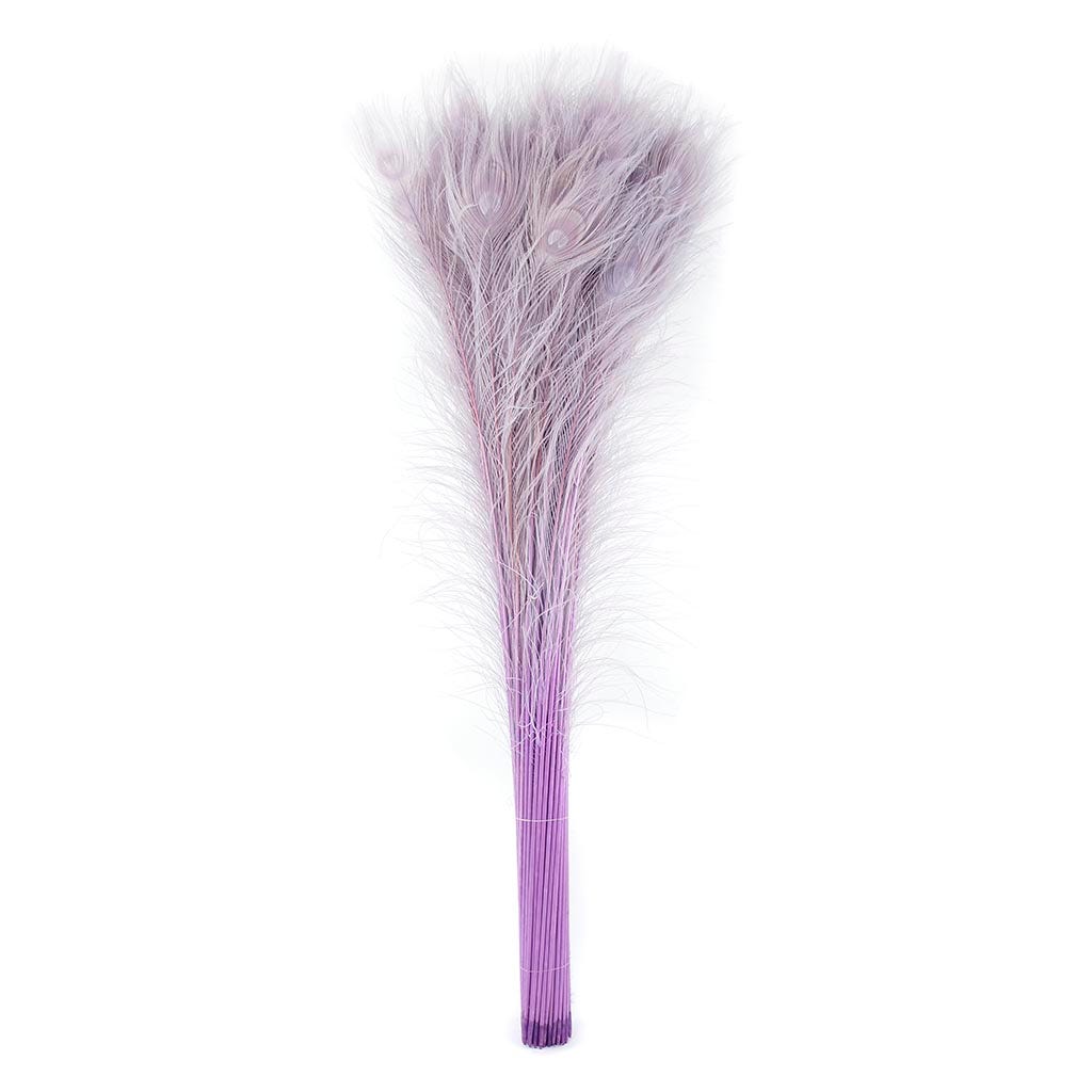 Peacock Tail Eyes Bleached Dyed - Orchid