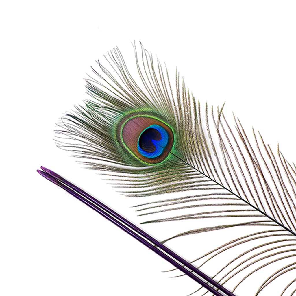 Peacock Feather Eyes Stem Dyed - Purple