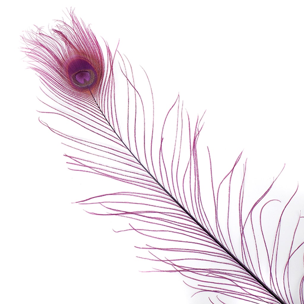 Peacock Eyes Bleached/Dyed - Purple 30-40" - 10 PC