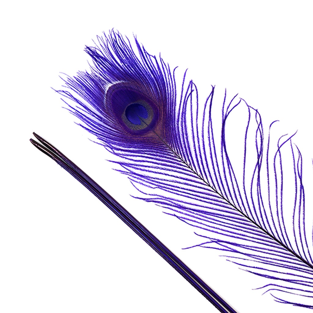 Peacock Eyes Bleached/Dyed Feathers - 25-40 Inch - 10 PCS - Regal