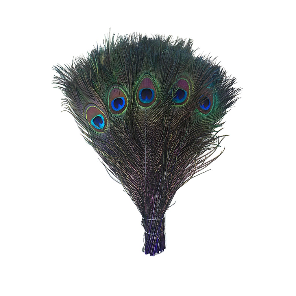Bulk Peacock Eye Feathers (Full Eye) Stem Dyed 100 PC 8-15" - Regal