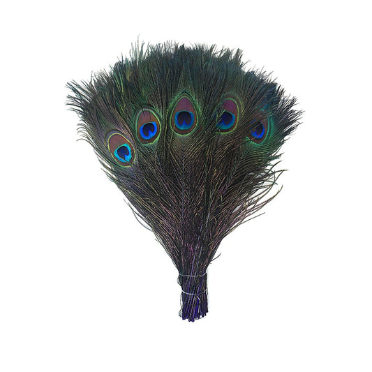 Bulk Peacock Eye Feathers (Full Eye) Stem Dyed 100 PC 8-15" - Regal