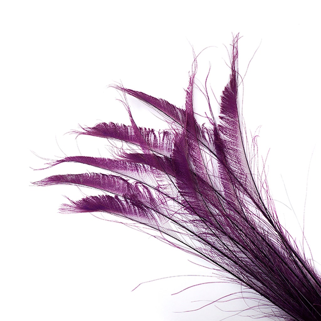 Peacock Swords Bleach Dyed - Purple