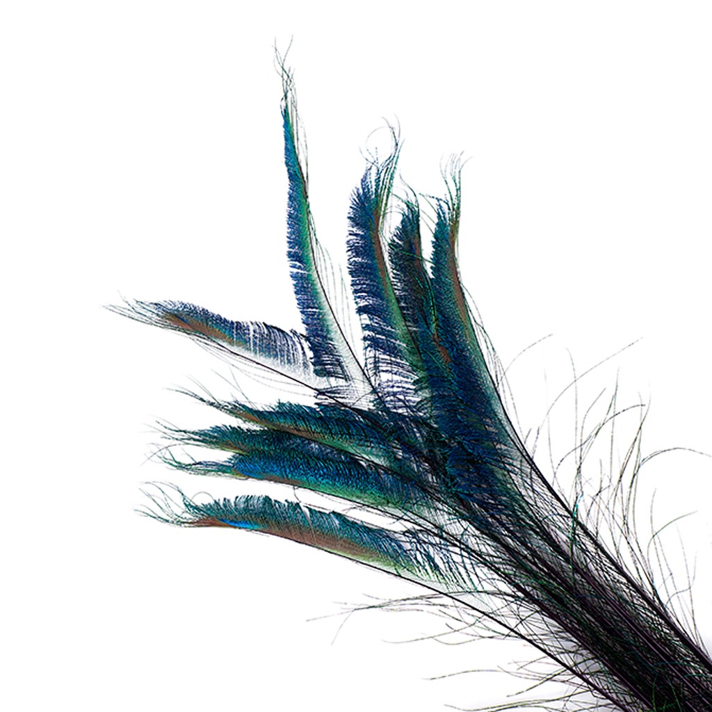 Bulk Peacock Sword Feathers Stem Dyed - 100 pc - 25-40" - Purple