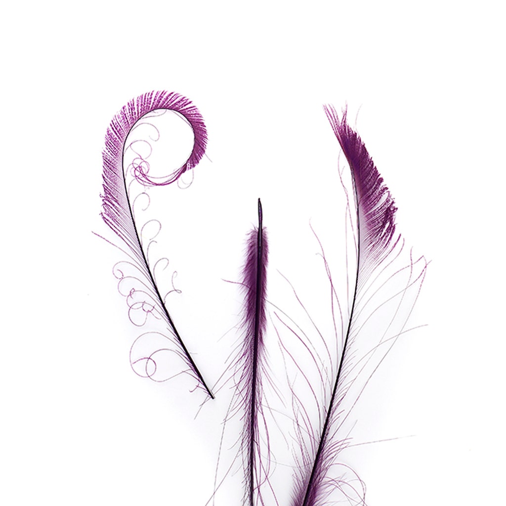 Peacock Swords Bleached Dyed - Purple