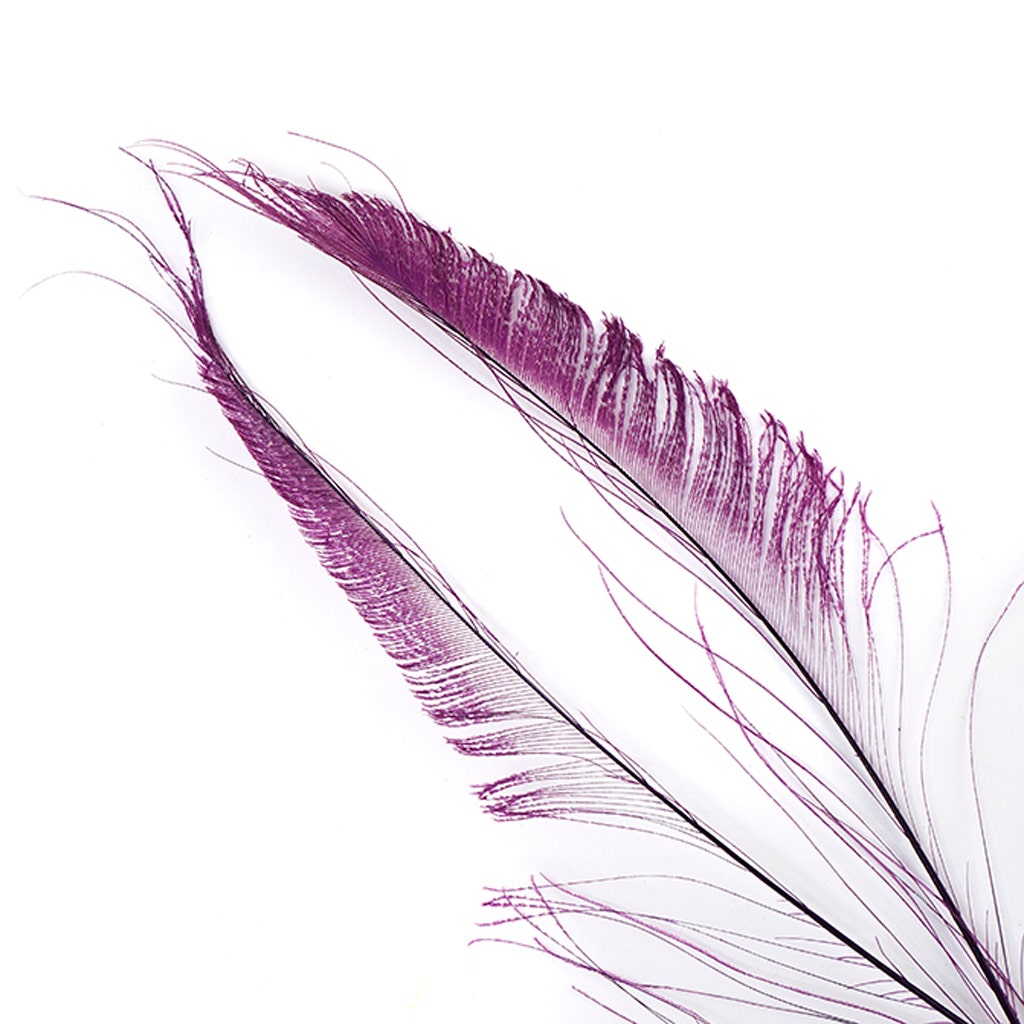 Peacock Swords Bleached Dyed - Purple