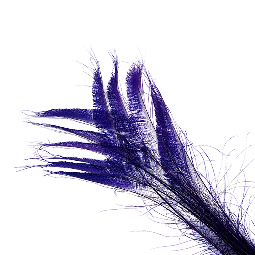 Peacock Swords Bleached Dyed - Regal