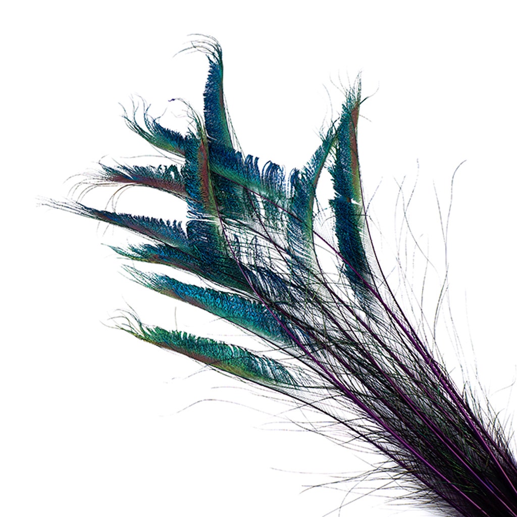 Peacock Swords Stem Dyed - Regal