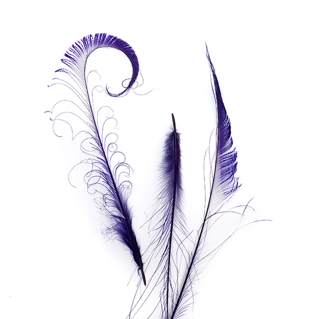 Peacock Swords Bleached/Dyed - Regal