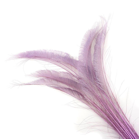 Peacock Swords Bleached/Dyed Orchid