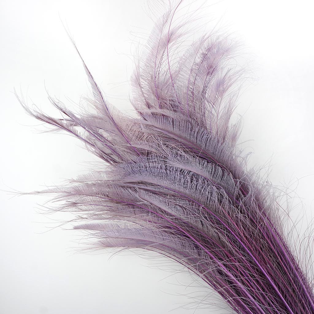 Peacock Swords Bleached Dyed - Orchid