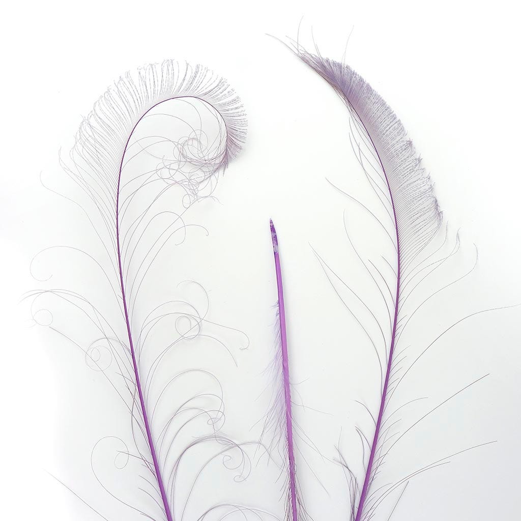 Peacock Swords Bleached Dyed - Orchid