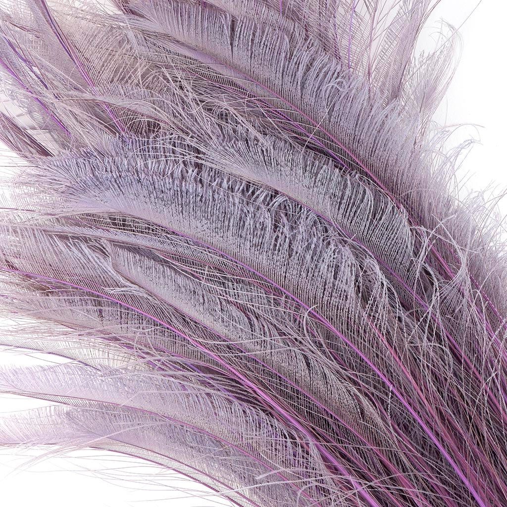 Peacock Swords Bleached Dyed - Orchid