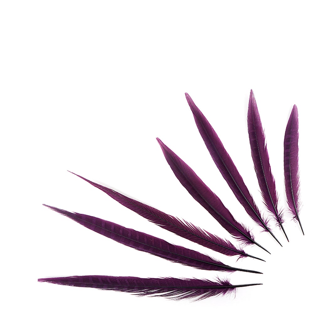 Assorted Pheasant Tails Dyed - Purple