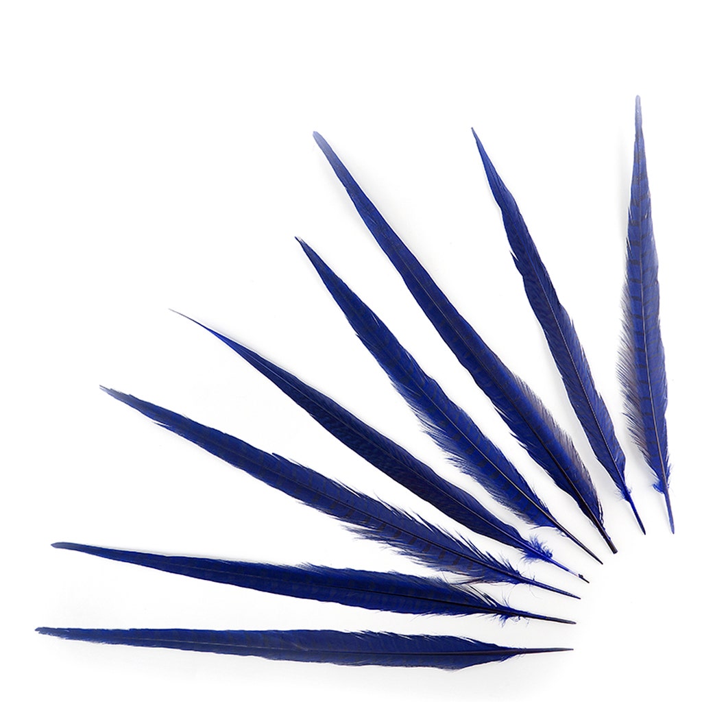 Assorted Pheasant Tails Dyed - Regal