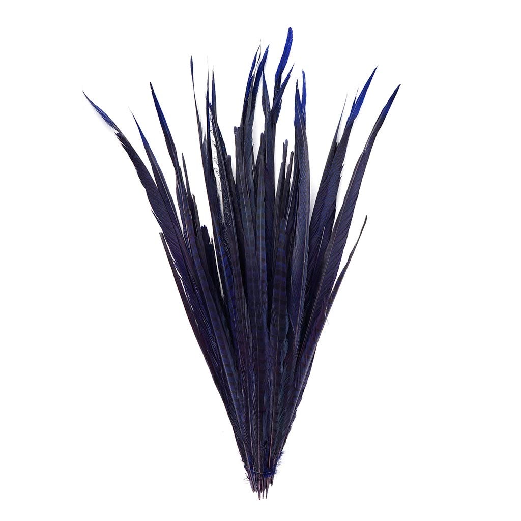 Assorted Pheasant Tails Dyed - Regal