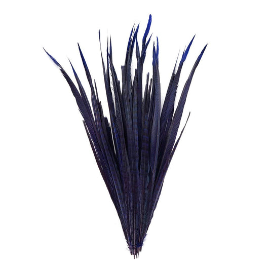 Assorted Pheasant Tails Dyed - Regal