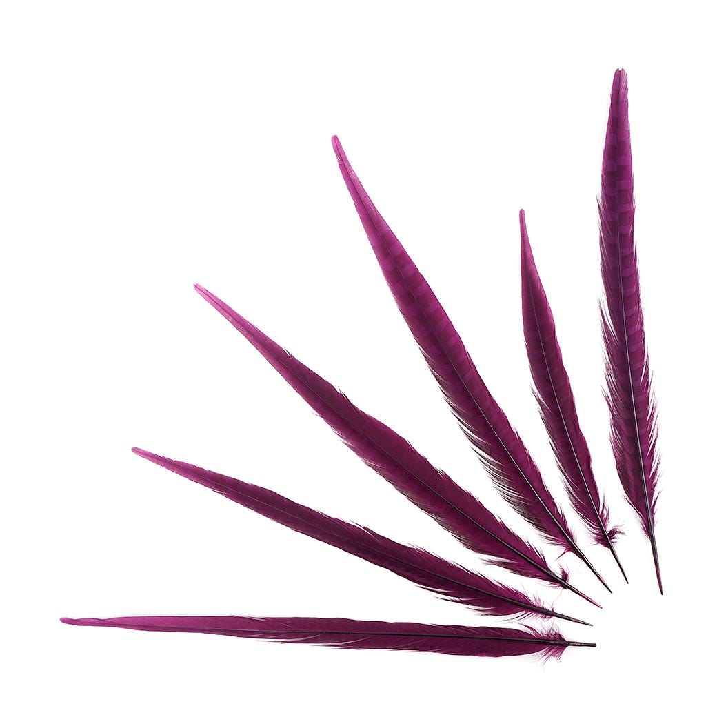 Assorted Pheasant Tails Dyed - Purple