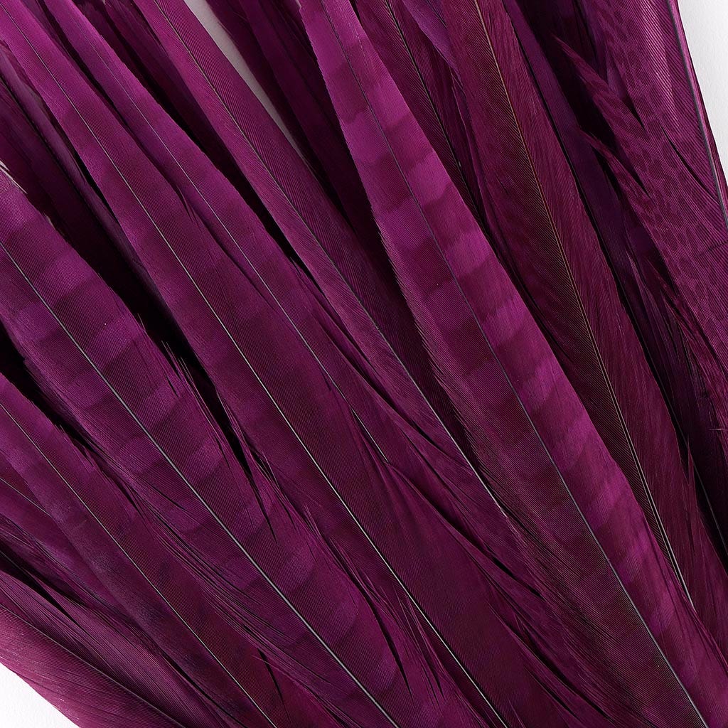Assorted Pheasant Tails Dyed - Purple
