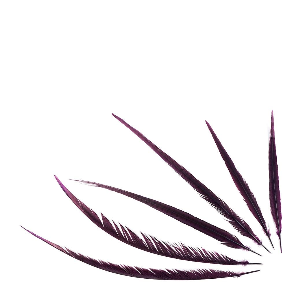 Assorted Pheasant Tails Dyed - Purple