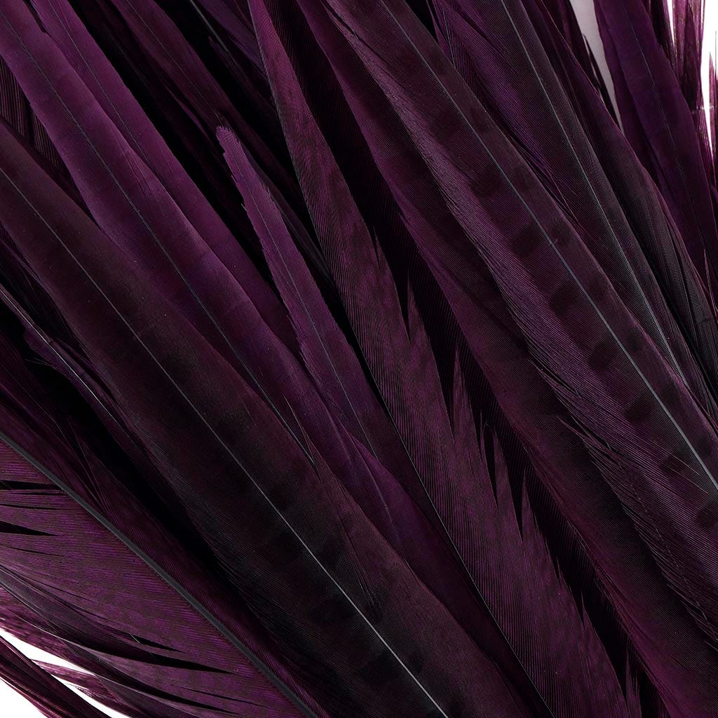 Assorted Pheasant Tails Dyed - Purple