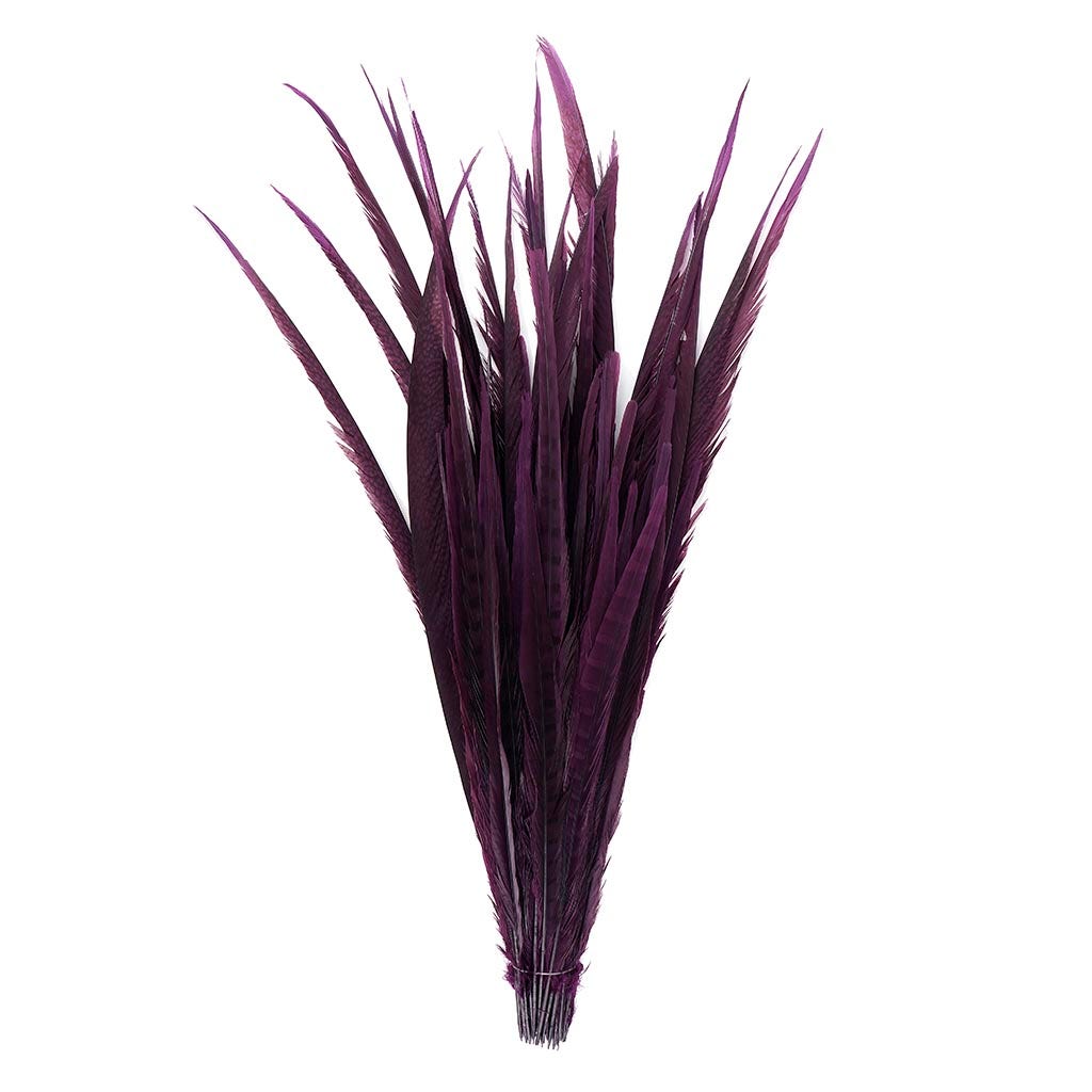 Assorted Pheasant Tails Dyed - Purple