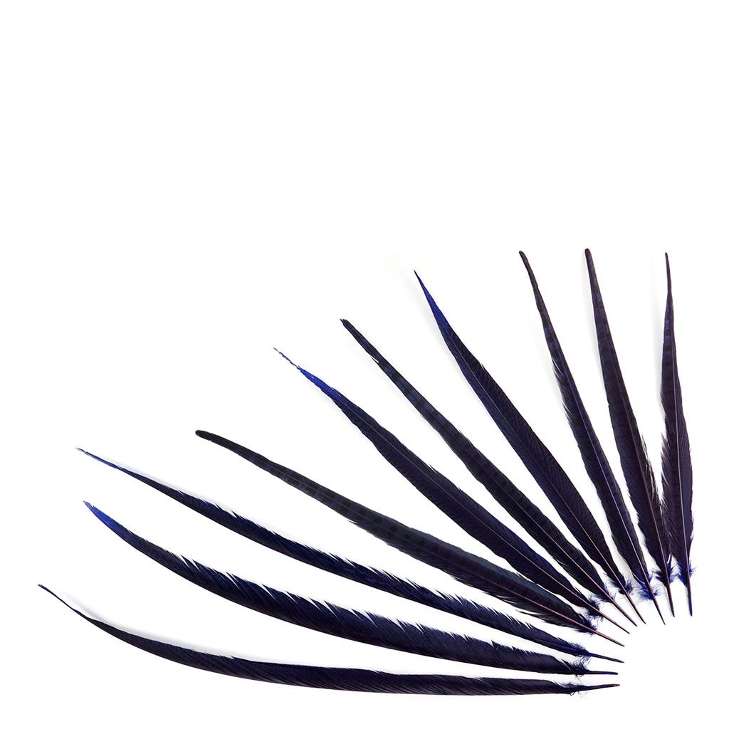 Pheasant Tails Assorted Bleached - Regal