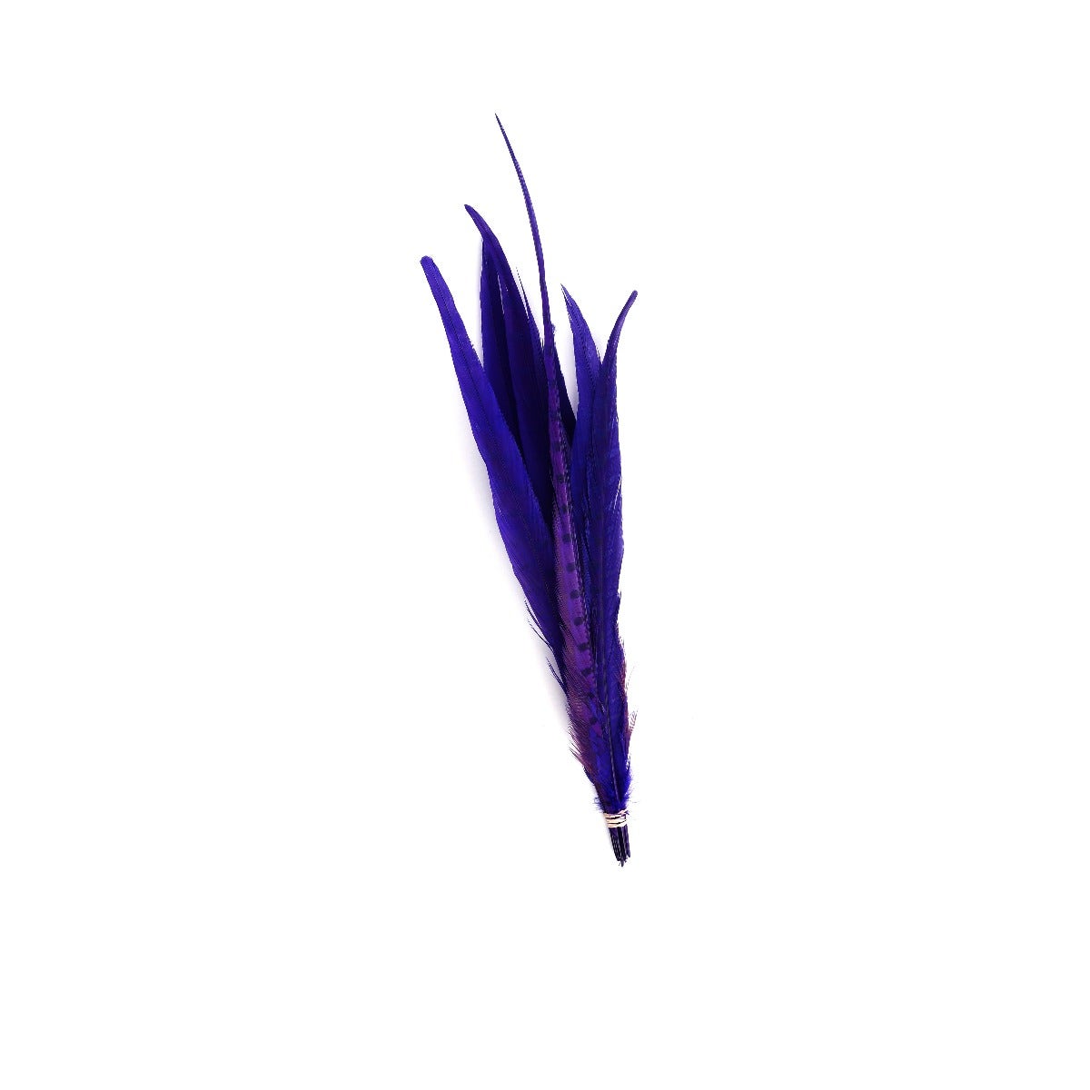 Pheasant Tails Assorted Bleached - Regal