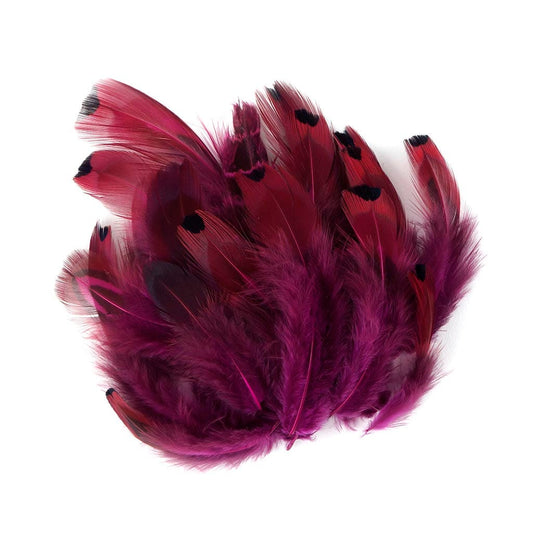 Ringneck Plumage-Heart Very Berry
