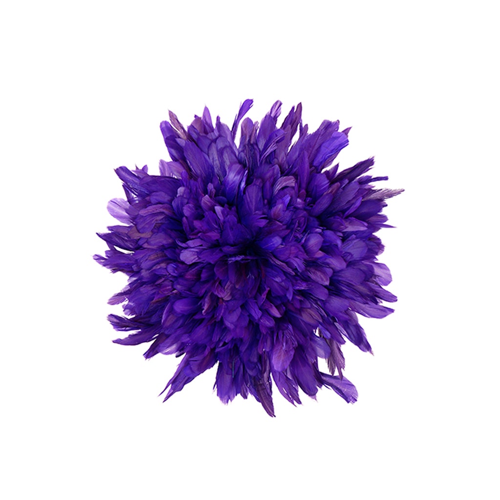 Rooster Coque Tail Feathers Bleach and Dyed - Regal