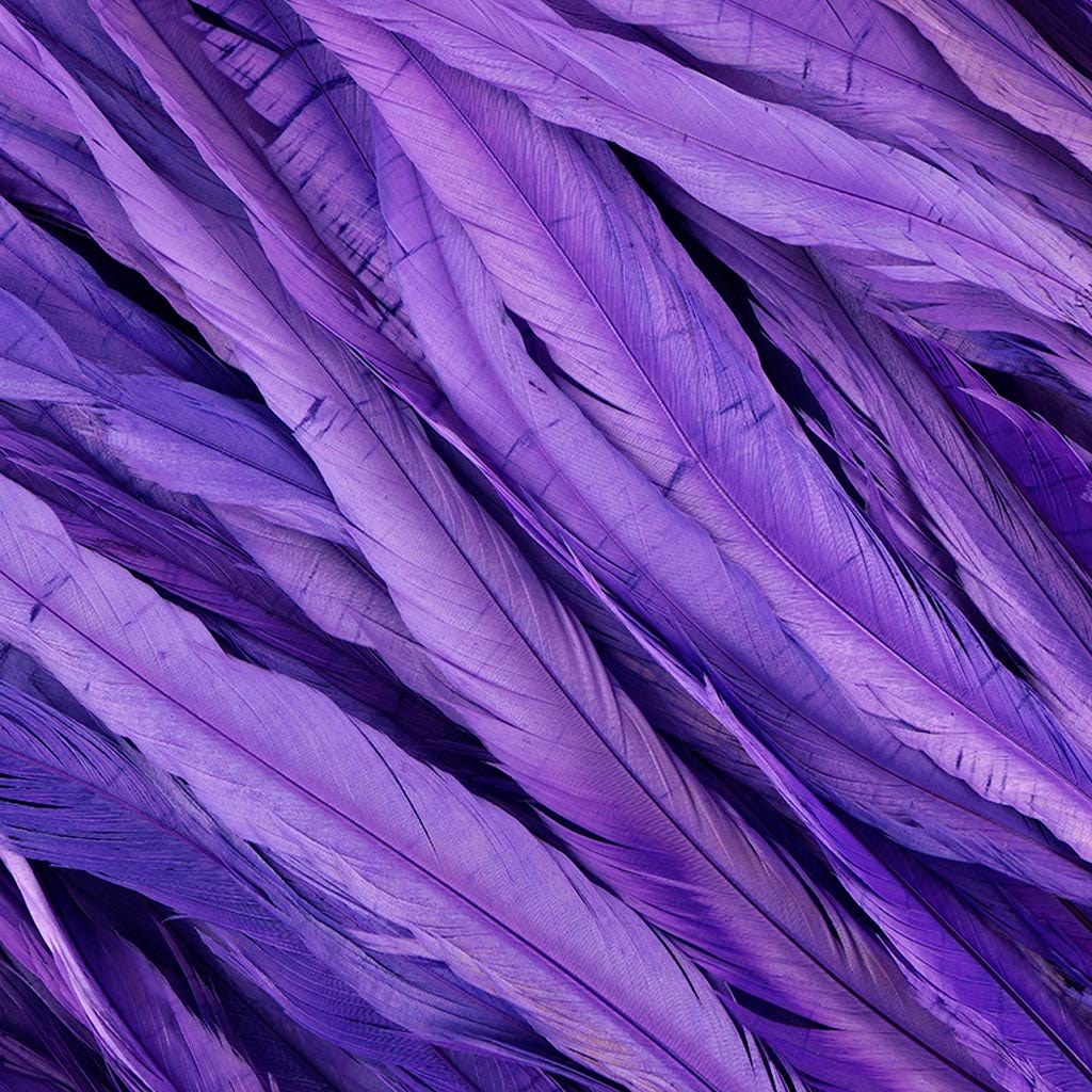 Rooster Coque Tails-Bleach-Dyed - Fl Lilac