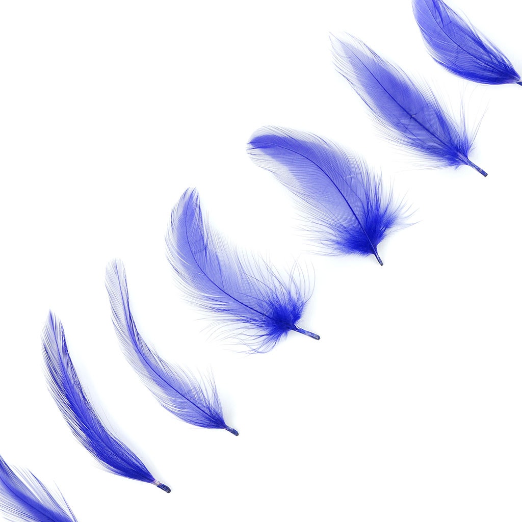 Rooster Hackle-Dyed - Dark Lilac