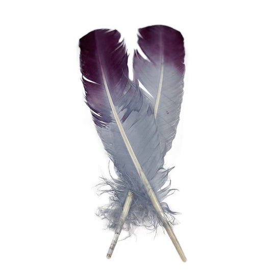 Ombré Turkey Quill Feathers 10-12” 2 pc - Purple-Silver