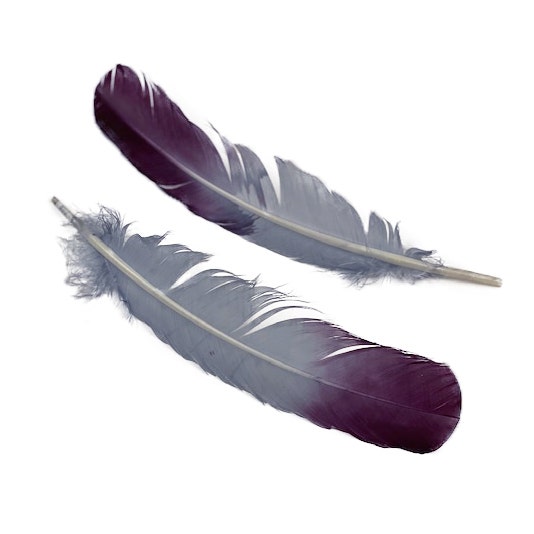 Ombré Turkey Quill Feathers 10-12” 2 pc - Purple-Silver
