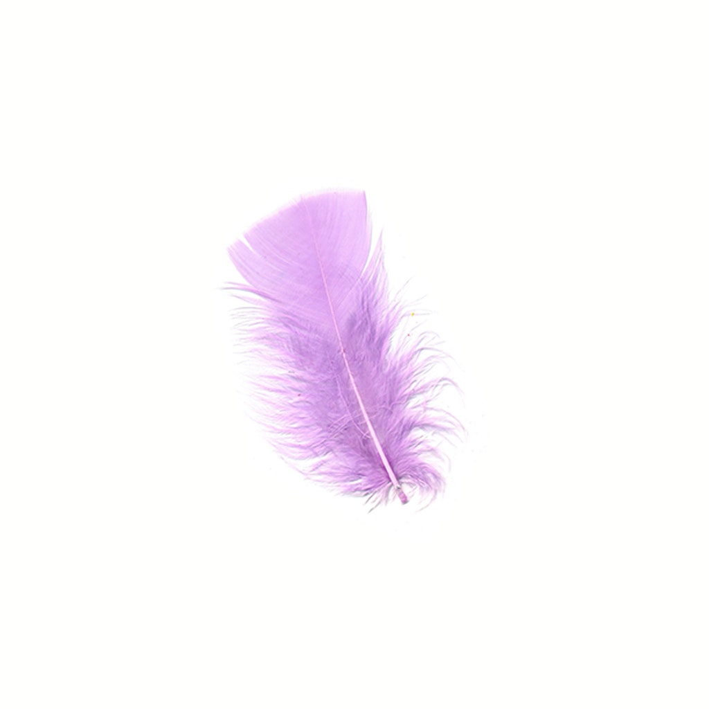 Loose Turkey Plumage Feathers 3-5" - Orchid