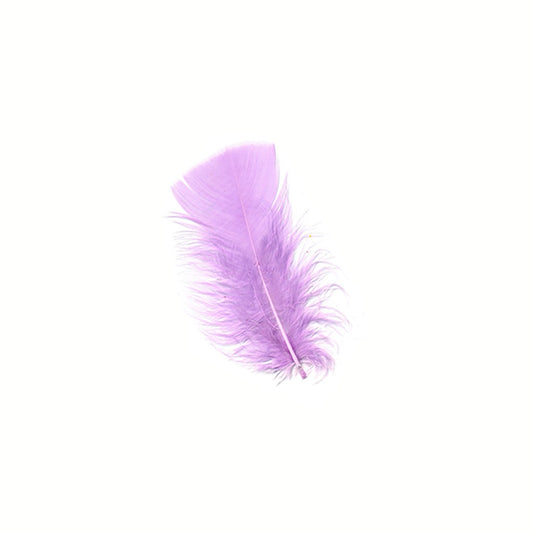 Loose Turkey Plumage Feathers 3-5" - Orchid