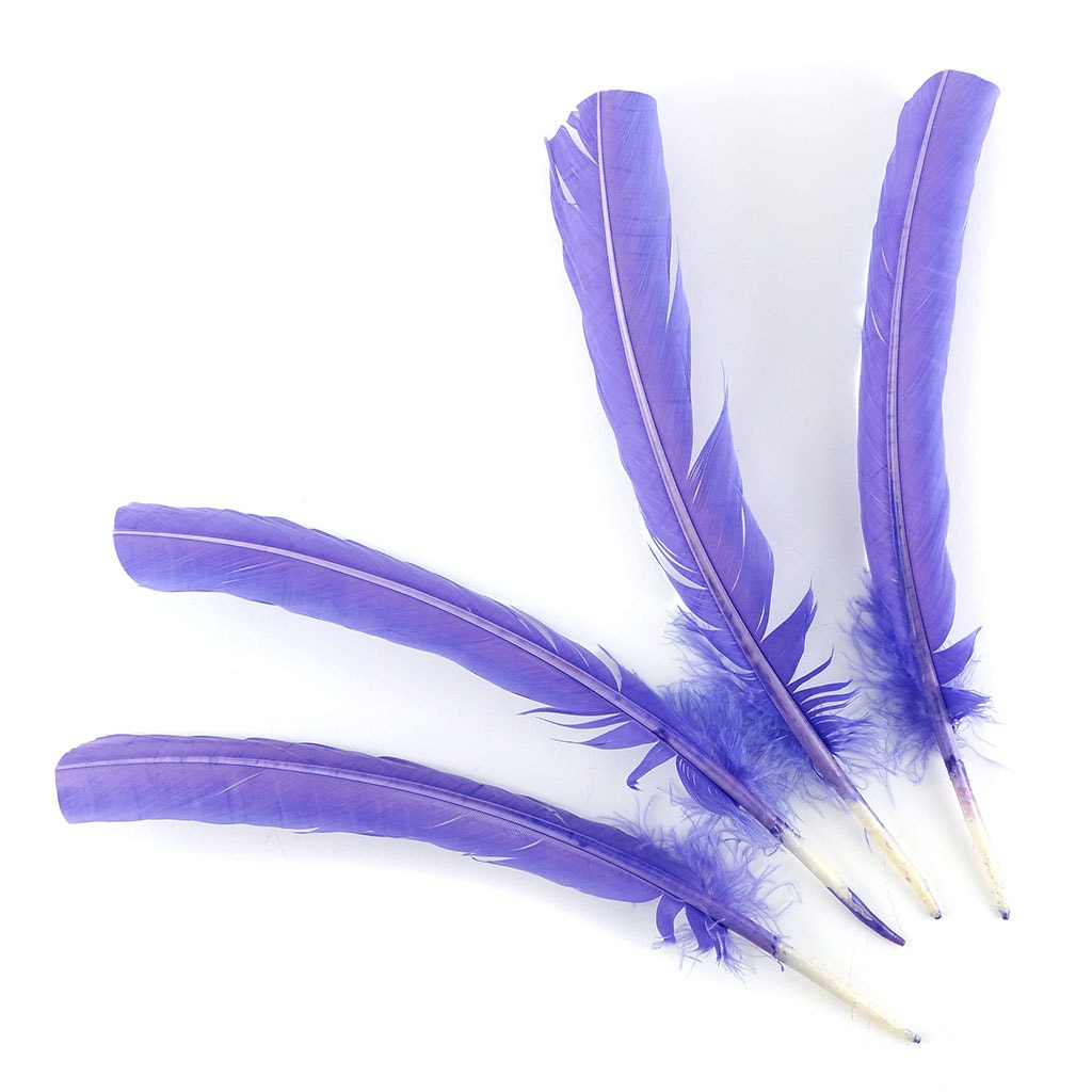 Turkey Quills Dyed Feathers Lavender