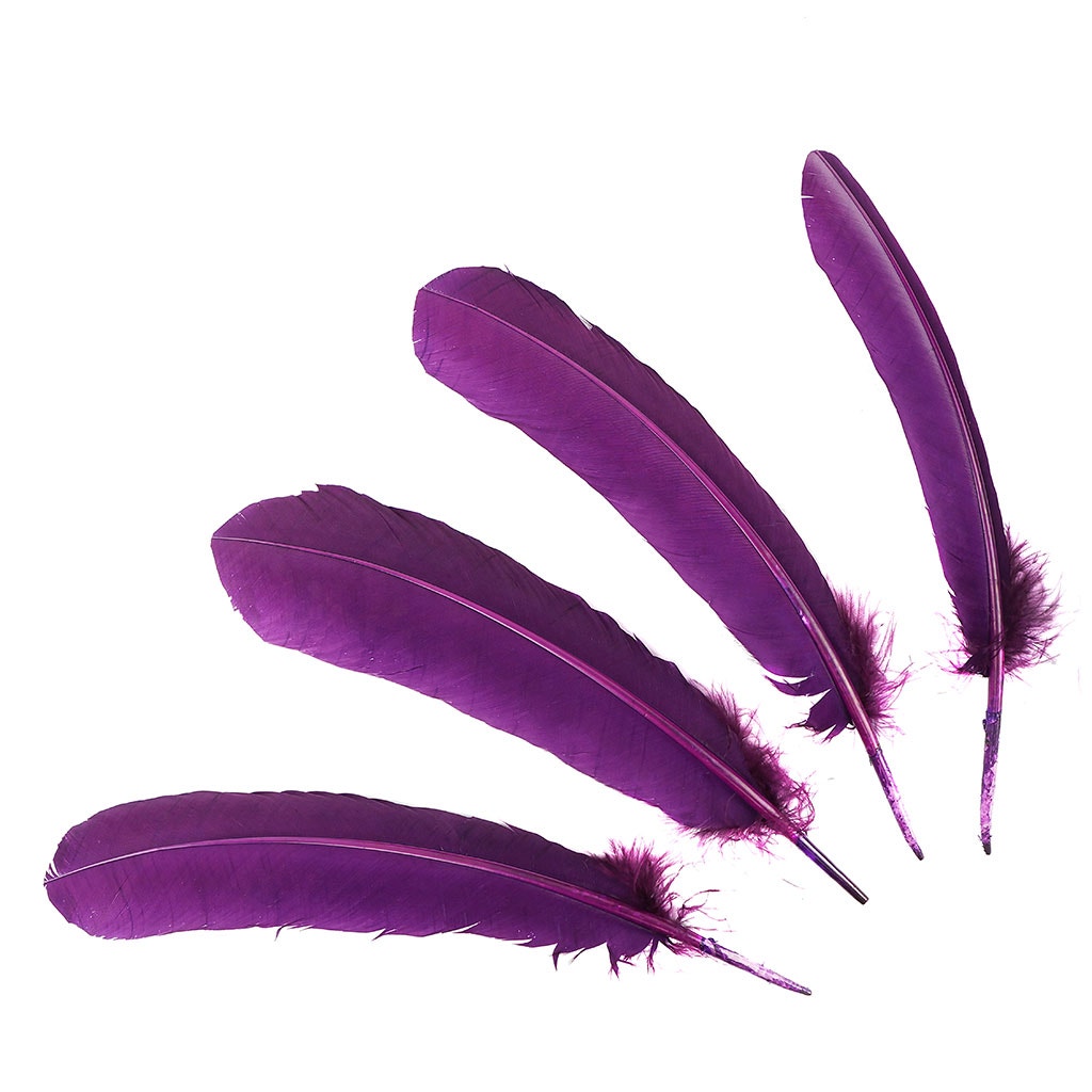 Turkey Quills Dyed Feathers - Purple