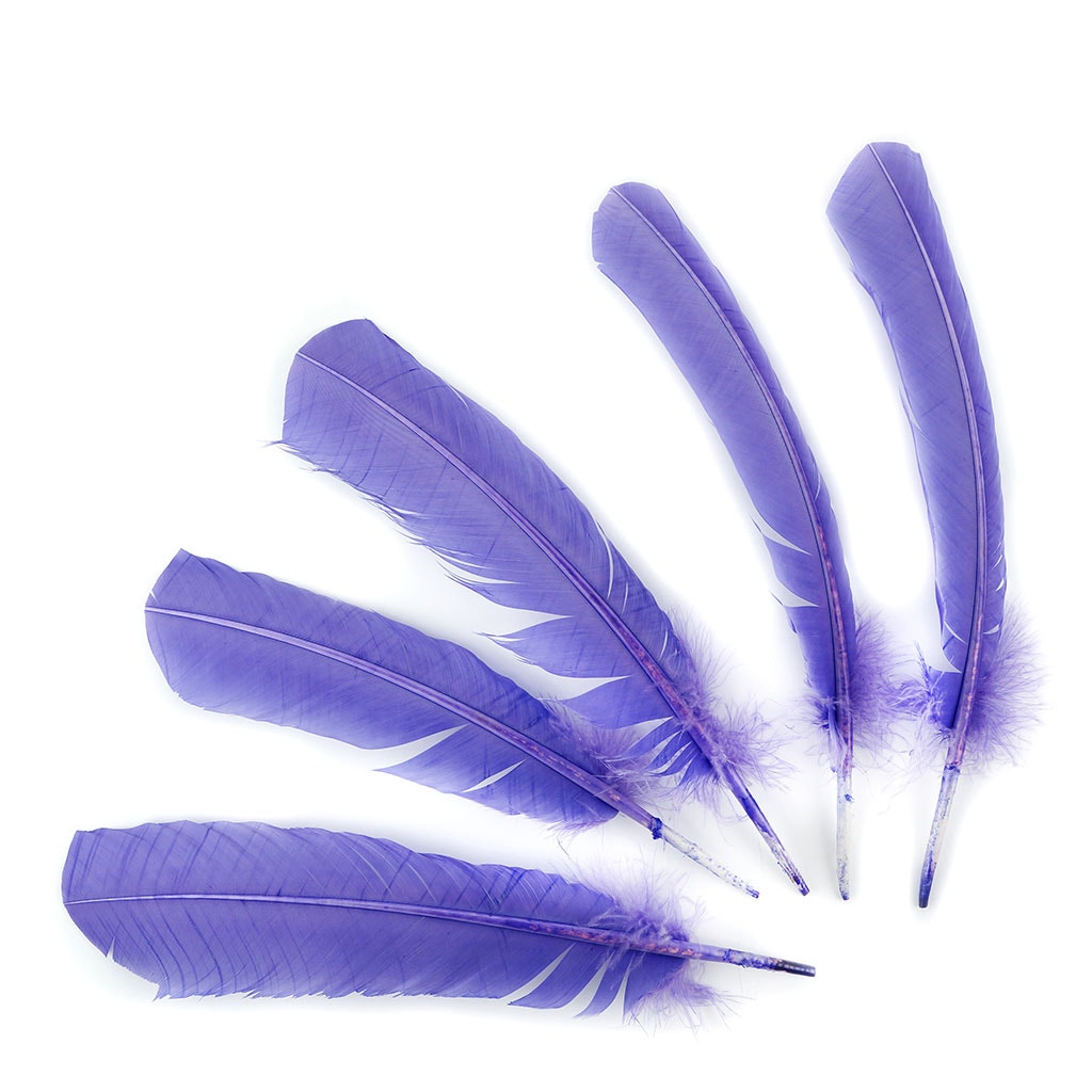 Turkey Quills Selected-Lavender