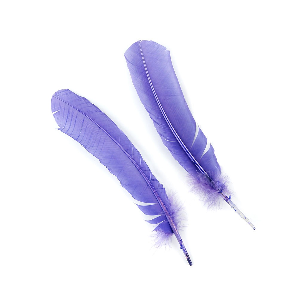 Turkey Quills Selected-Lavender