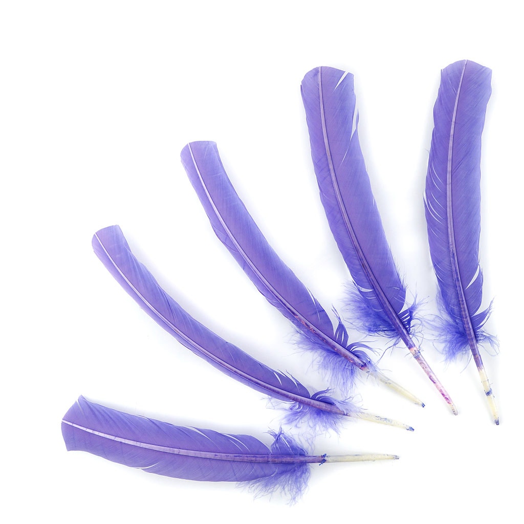 Turkey Quills Selected-Lavender